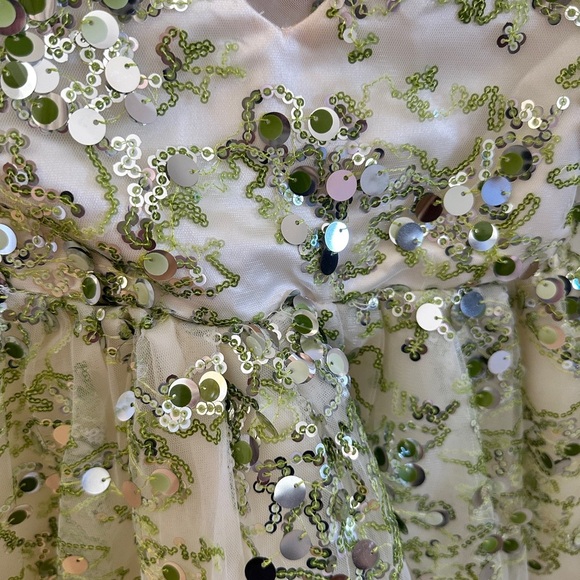 Wicked / Tiana / Elphaba-Inspired Green Sequin Dress — Size 6 - Picture 3 of 11
